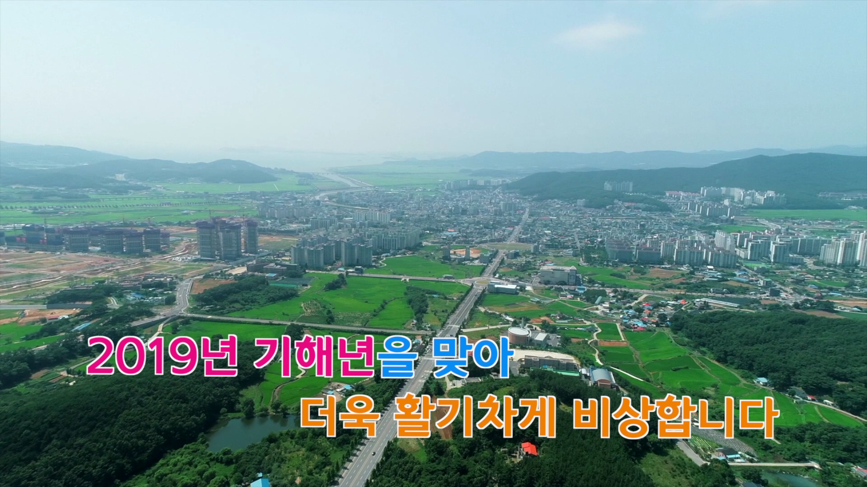 2019 황금돼지의 해 기해년